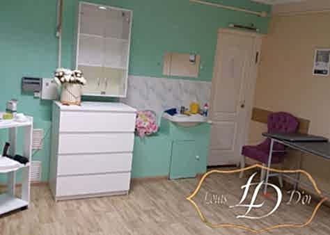  Луи Дор в Барнауле фото