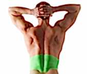 Лазерной эпиляции спины: нижняя треть